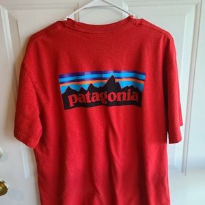 Patagonia responsibili tee size large